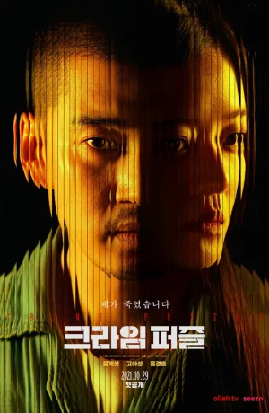 Дорама Криминальный пазл онлайн