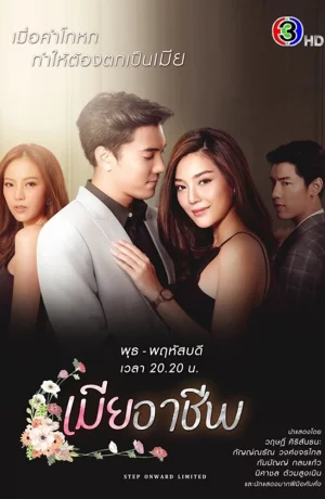 Дорама Профессиональная жена онлайн