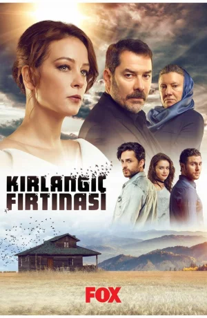 Дорама Шторм ласточки онлайн