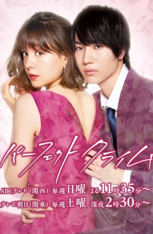 Дорама Идеальное преступление онлайн