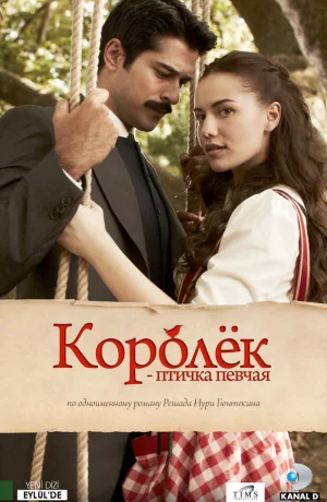 Дорама Королёк – птичка певчая онлайн