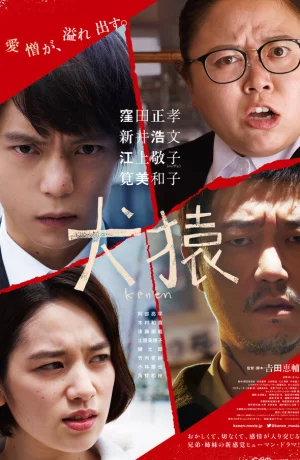 Дорама Как кошка с собакой онлайн