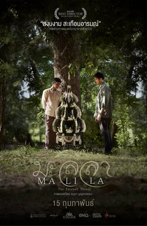 Дорама Малила: Прощальный цветок онлайн