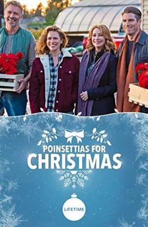 Дорама Пуансеттия - рождественская звезда онлайн