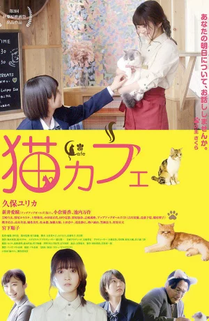 Дорама Котокафе онлайн