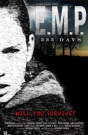 Дорама Э.М.И. 333 дня онлайн