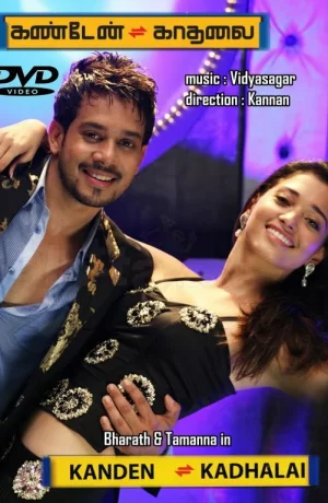 Дорама Попутчица онлайн