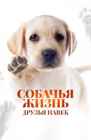 Дорама Собачья жизнь: Друзья навек онлайн