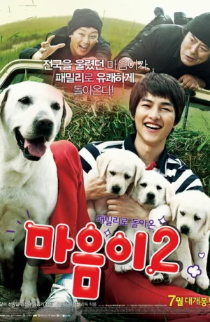 Дорама Искренние лапы 2 онлайн