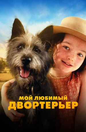 Дорама Мой любимый двортерьер онлайн