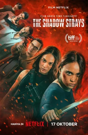 Дорама Блуждающая тень онлайн