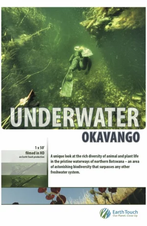 Дорама Подводный мир Окаванго онлайн