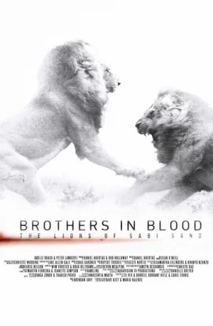 Дорама Прирожденные короли онлайн