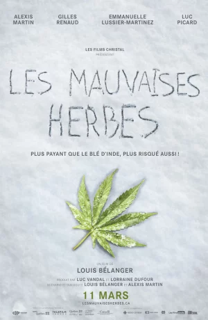 Дорама Плохие семена онлайн