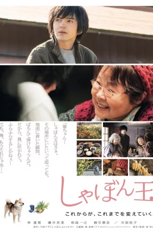 Дорама Мыльный пузырь онлайн